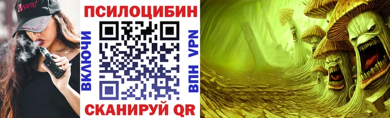 закладки  Жигулёвск  Галлюциногенные грибы MAGIC MUSHROOMS 
