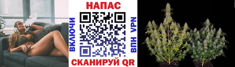 Каннабис индика  сколько стоит  Жигулёвск 